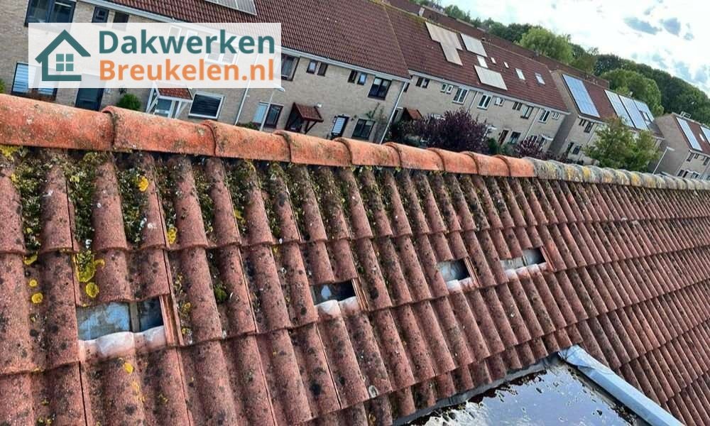 Een dakrenovatie bij oud pannendak Een dakrenovatie bij oud pannendak in Breukelen